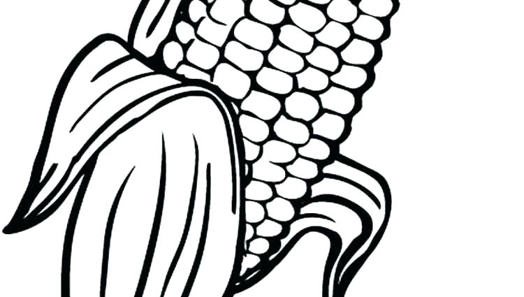 750x425 Corn Coloring Pages Corn Cartoon Coloring Page Corn Coloring Pages