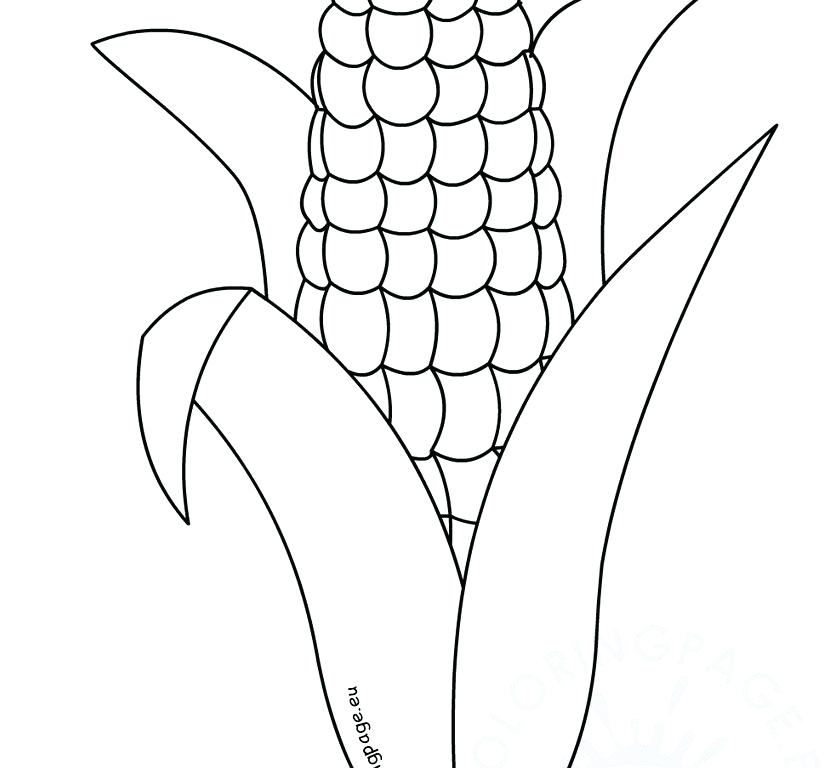 826x768 Exciting Symmetrical Coloring Pages