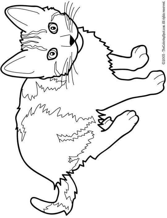 540x706 Cat Color Pages Printable Cat Free Printable Coloring Pages