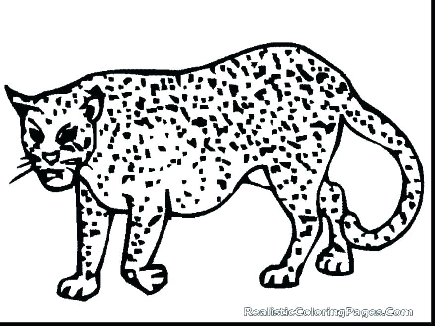 878x658 Cheetah Coloring Pages Cheetah Coloring Pages Printable Page Free