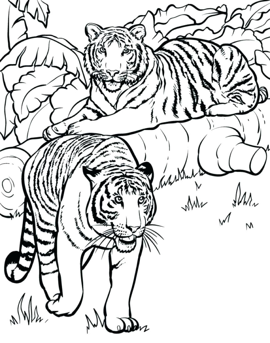 863x1098 Coloring Pages ~ Cheetah Coloring Pages Tiger Printable Baby