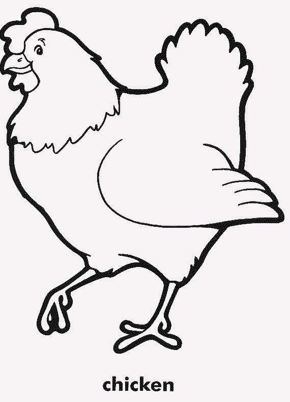 570x789 Cute And Beautiful Hens Colour Drawing Hd Wallpaper
