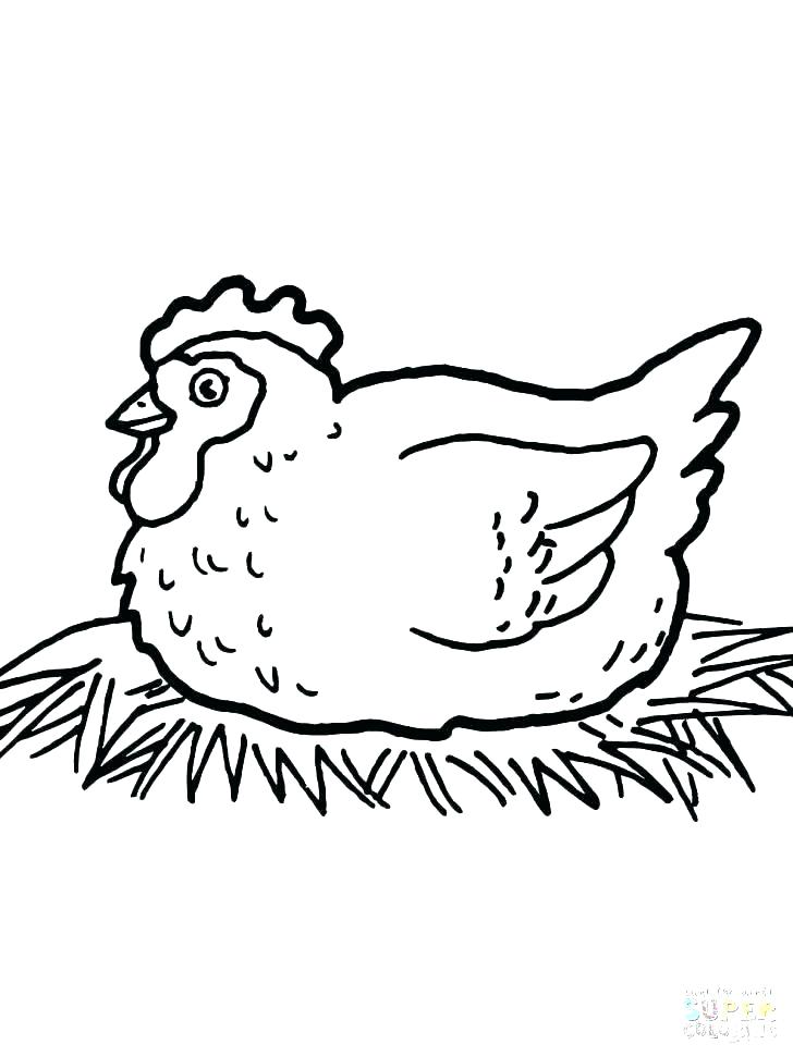 728x971 Hen Coloring Pages Hen Coloring Page Hen And Chicks Coloring Page