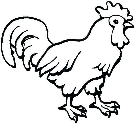 572x525 Hen Coloring Pages Jumbo Coloring Pages Hen With Chickens Coloring
