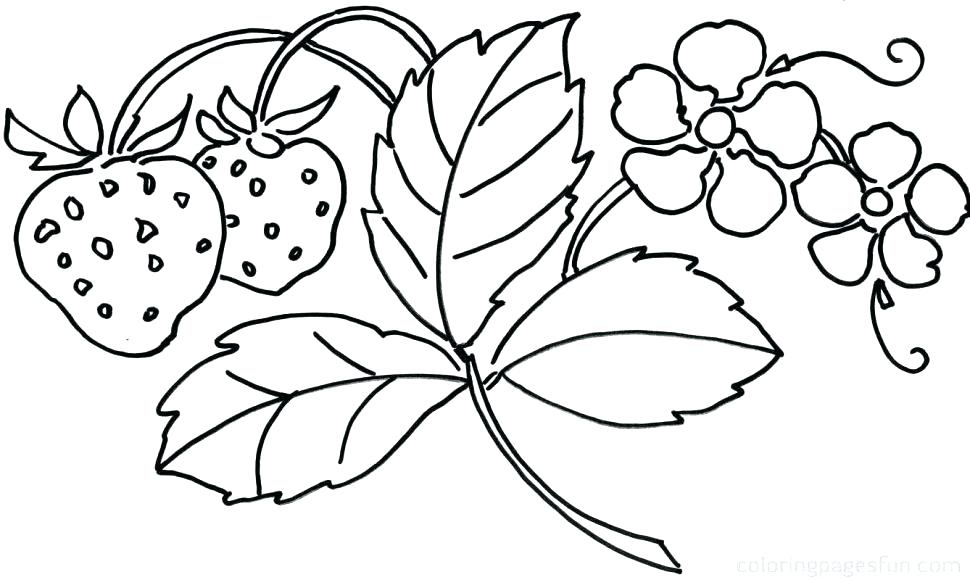 970x580 Coloring Pages For Girls Flowers Free Coloring Pages Flowers Pages