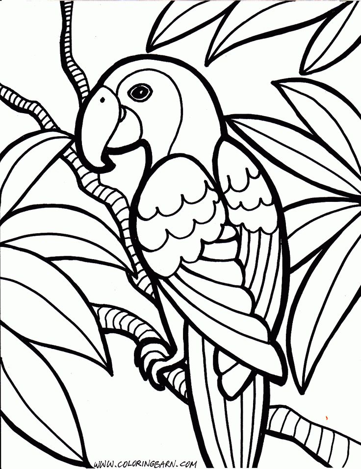 736x957 Free Coloring Page Trend Free Coloring Pages 19 About Remodel Ew