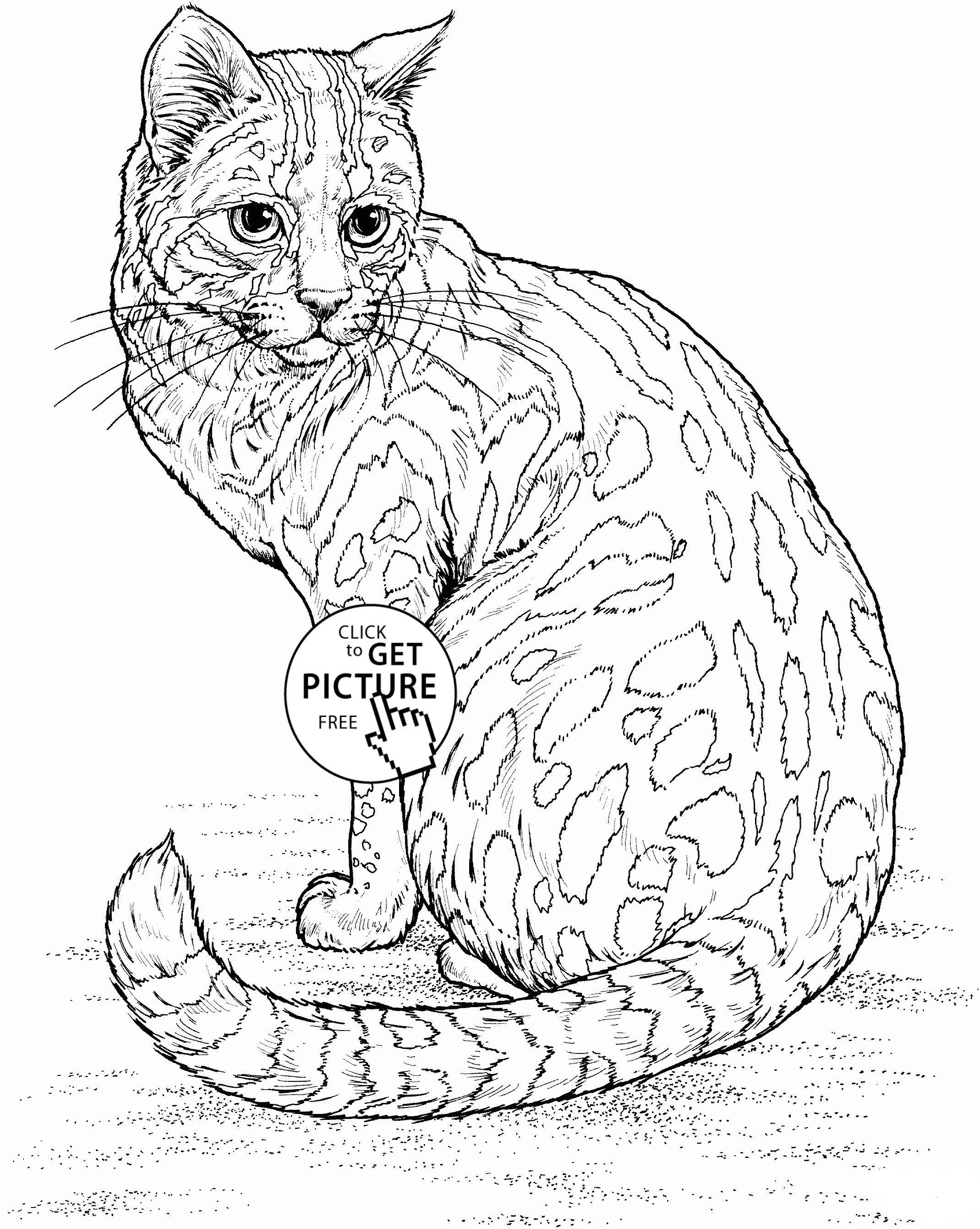 2139x2681 Free Coloring Pages Animals Realistic Coloring Page Fun