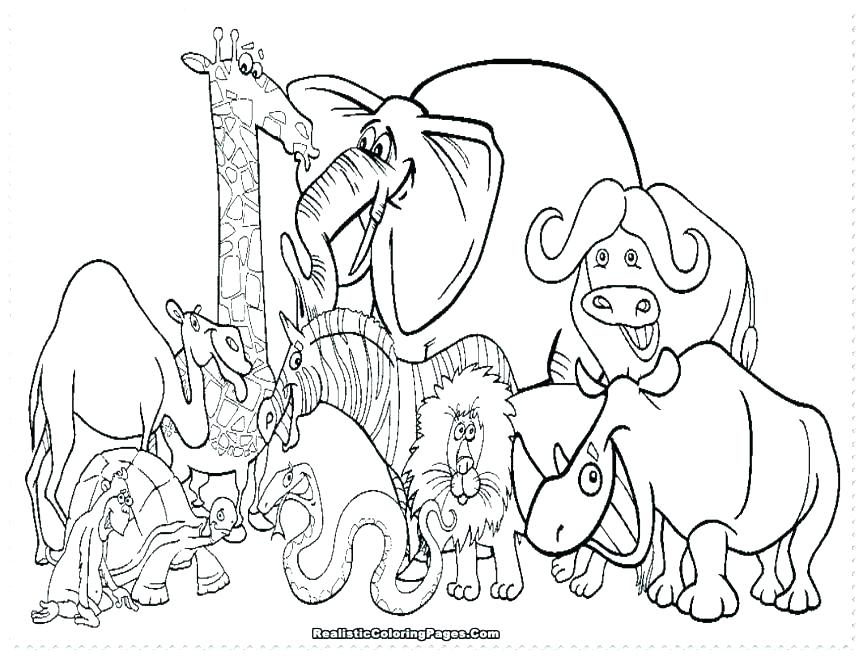 863x656 Free Coloring Pages Animals