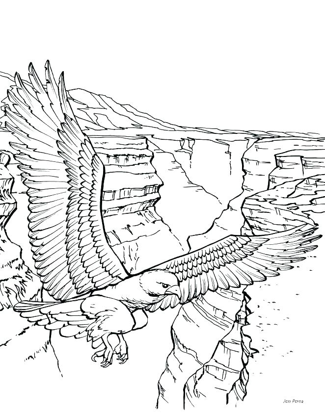 662x842 Coloring Pages Animals Realistic Free Coloring Realistic Wild