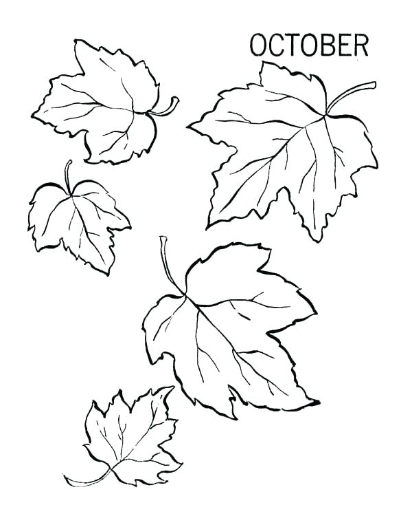 600x734 Fall Themed Coloring Pages Fall Autumn Leaves Coloring Pages