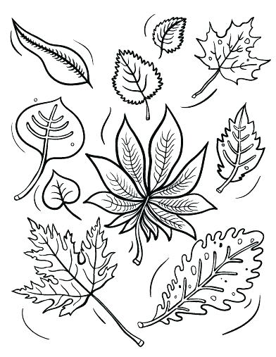 392x507 Free Printable Fall Leaves Stationery Kids Coloring Leaves