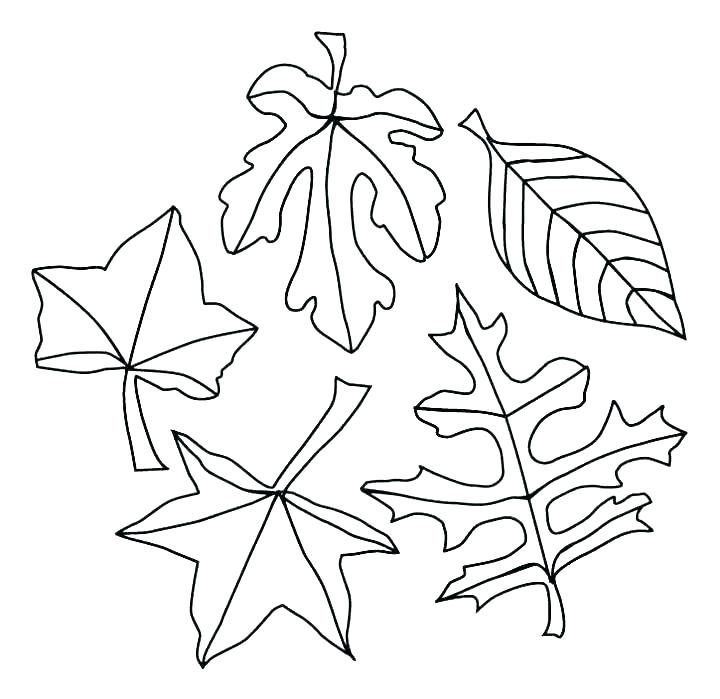 720x699 Coloring Pages For Fall Free Coloring Pages Fall Fall Color Pages