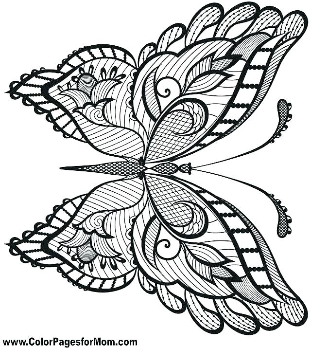 640x715 Free Coloring Pages Flowers And Butterflies Butterfly Coloring