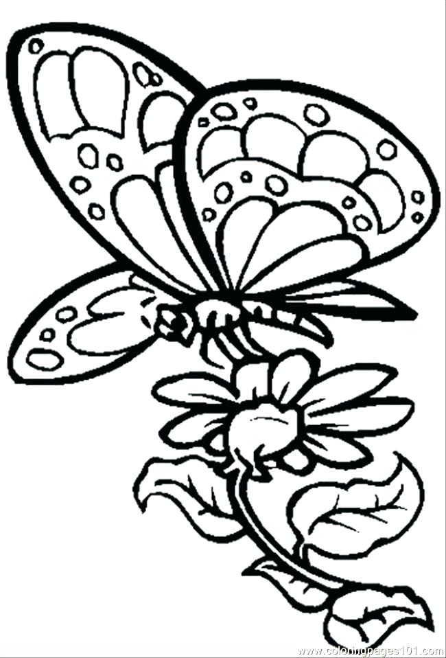 650x958 Free Coloring Pages Flowers Coloring Pages Of Flowers