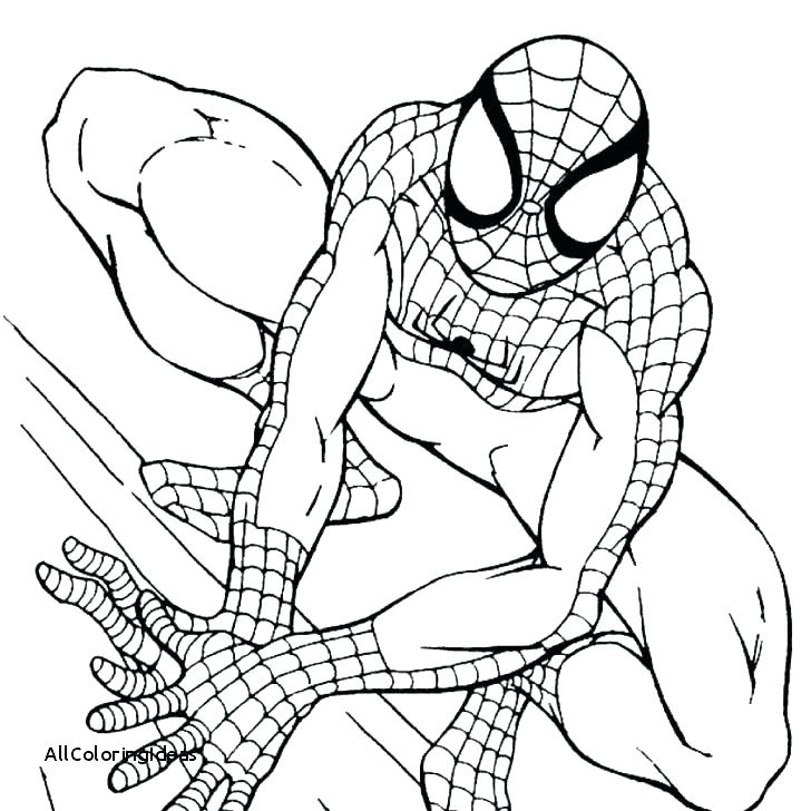 728x728 Free Printable Coloring Pages Of Flowers Printable Coloring Pages
