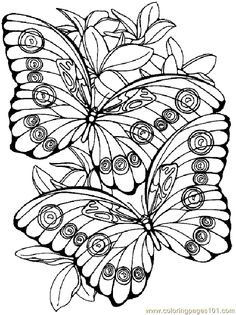 236x315 Image Result For Coloring Flowers Butterflies Dragonflies