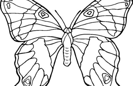 469x304 Free Coloring Pages Flowers And Butterflies Just Colorings