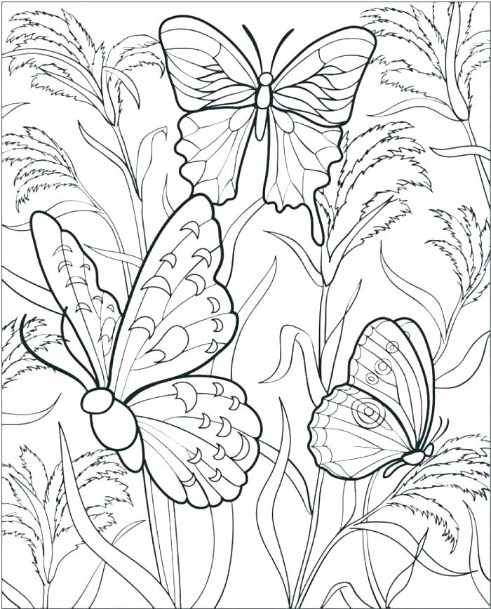 700x868 Coloring Pages Flowers Coloring Pages Flowers And Butterflies