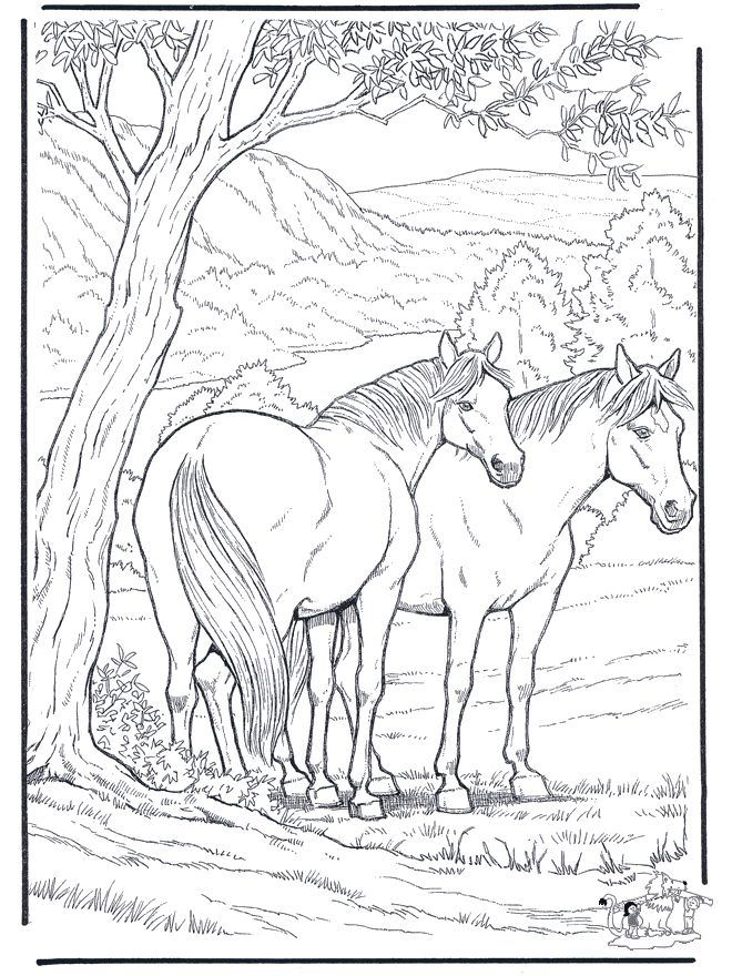 Free Coloring Pages For Adults Animals