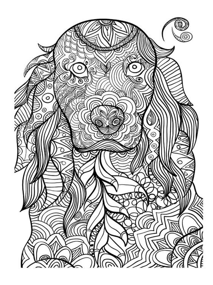 750x1000 Animals Coloring Pages For Adults. Free Printable Animals Coloring