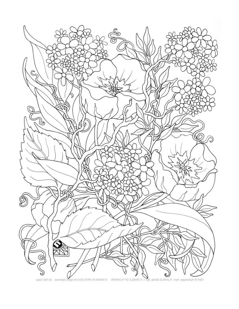 791x1024 The Best Printable Coloring Pages Adults Only Picture For Popular