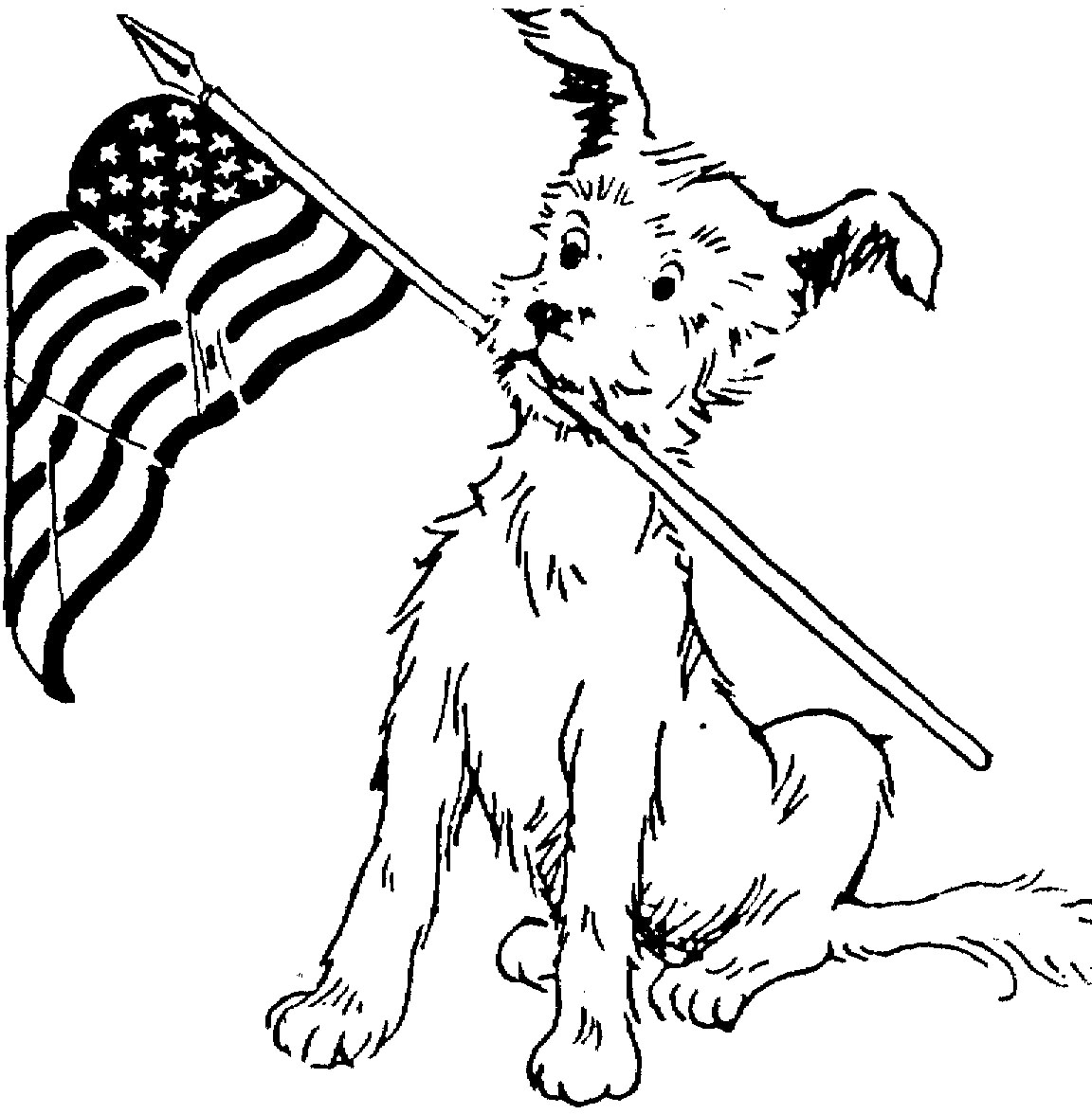 1152x1176 Thanks You Veterans Day Coloring Pages