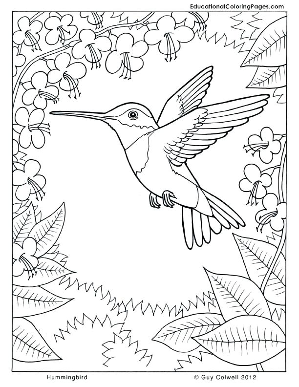 612x792 Nature Coloring Pages Coloring Pages For Adults Nature Nature