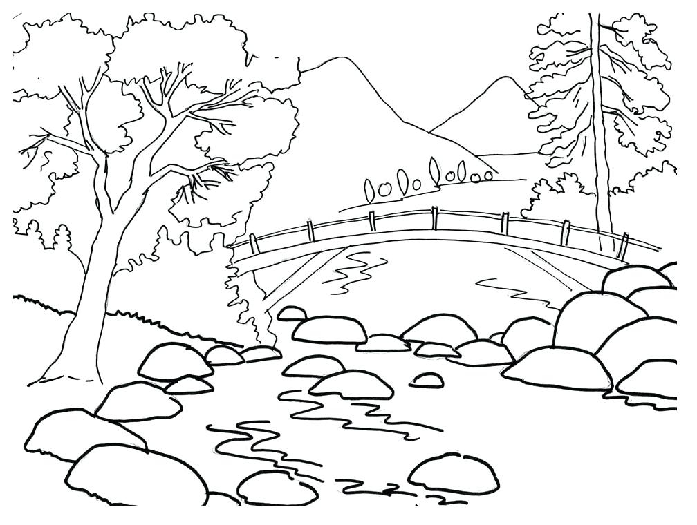 1008x760 Nature Coloring Pages Nature Coloring Page Free Coloring Pages