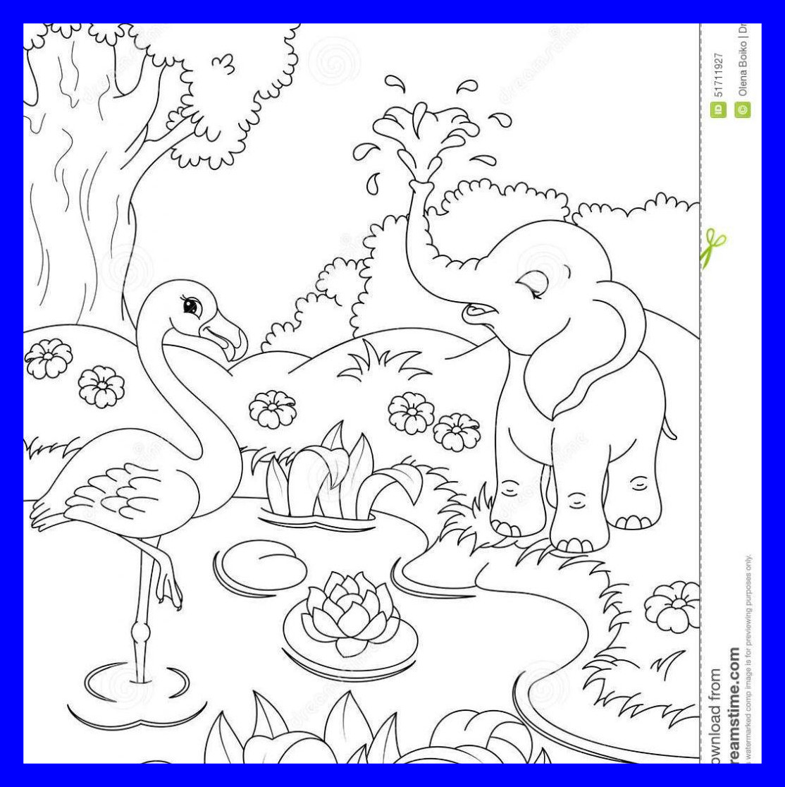1114x1116 Best Nature Coloring Page For Kids With Rainbow Printable General