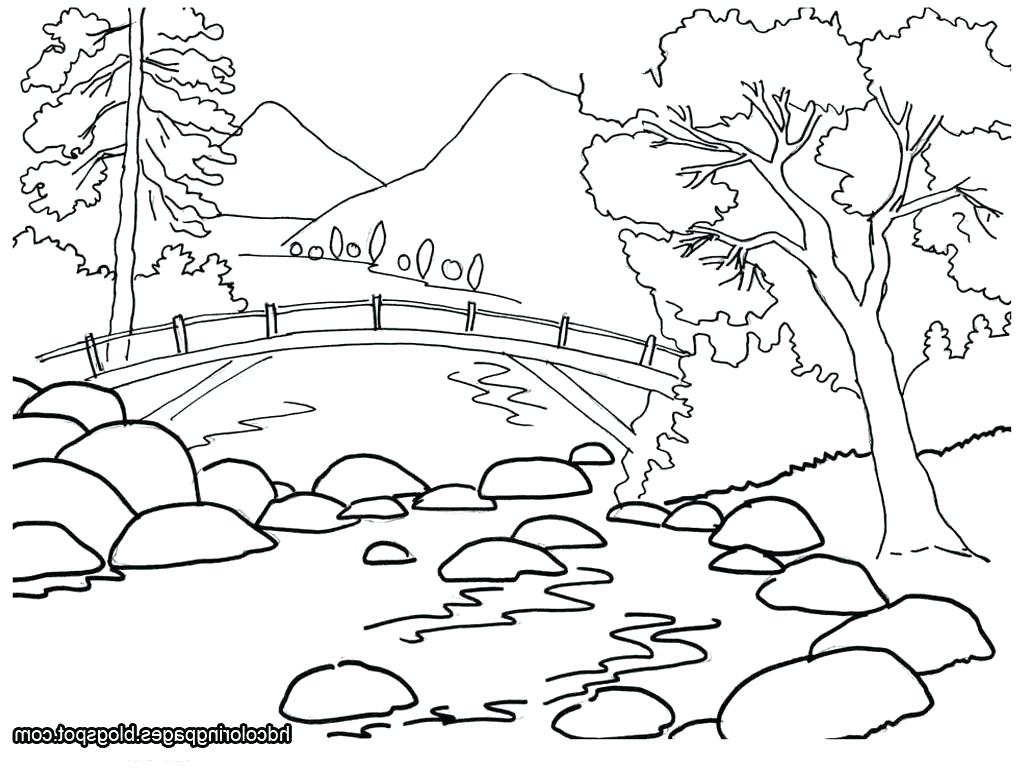 1024x768 Coloring Pages ~ Nature Coloring Pages Special Page Free Printable