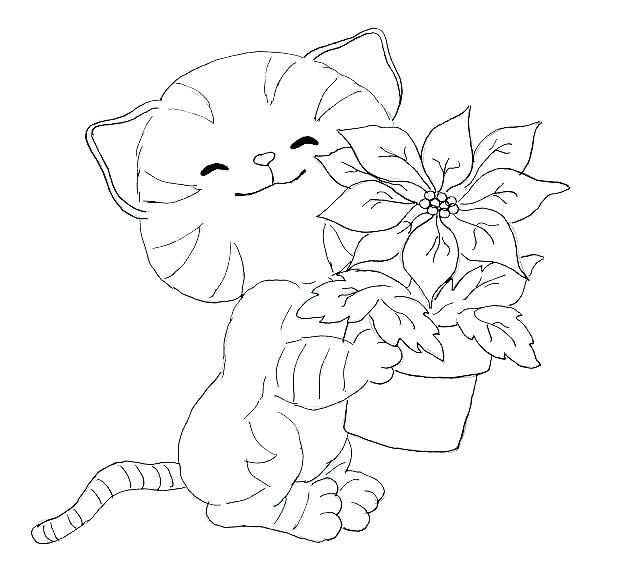 623x569 Cat Color Pages Printable Dog And Cat Coloring Pages A Free Dogs