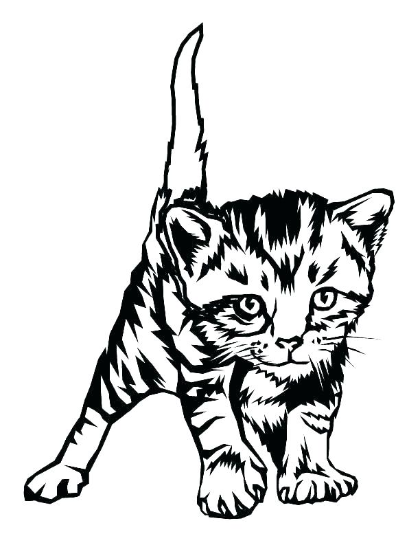 612x793 Free Coloring Pages Cats Kittens