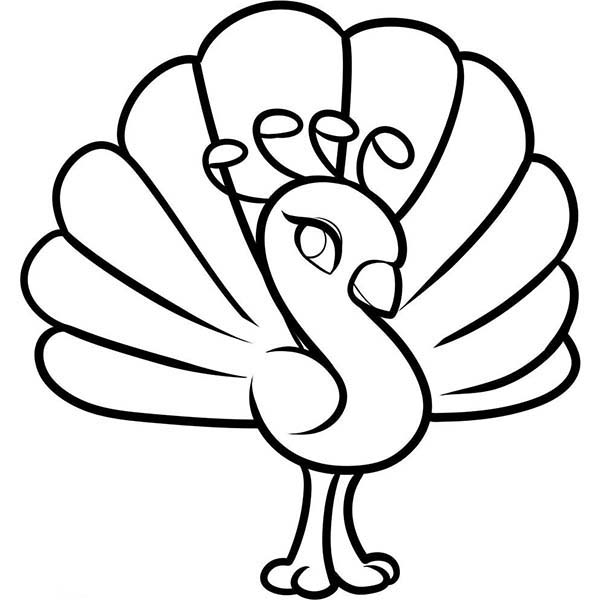 600x600 Baby Animal Coloring Pages
