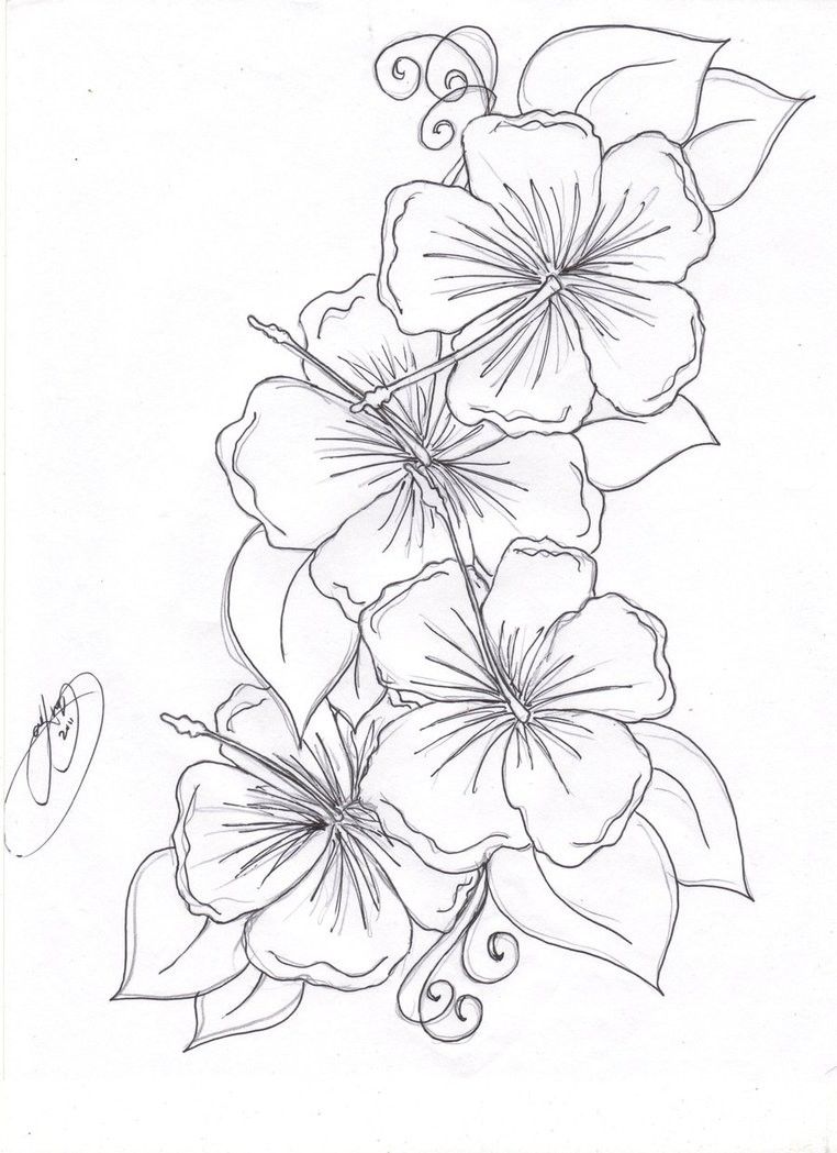 762x1049 Beautiful Flower Coloring Pages Free Hibiscus Flower Coloring