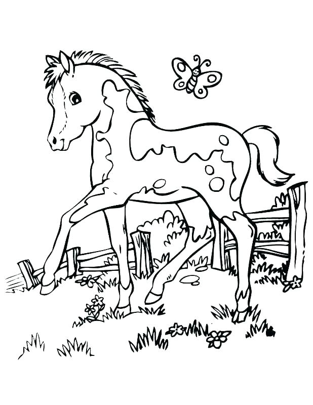 618x800 Horse Coloring Pages To Print For Free Coloring Pages Of Horses