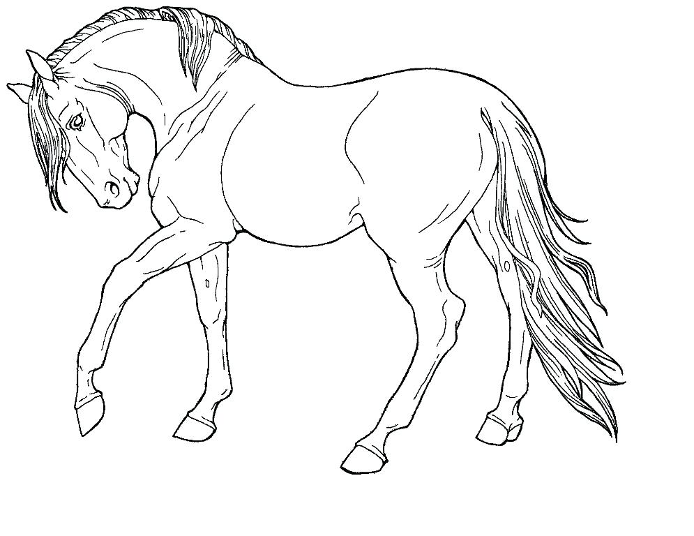 995x768 Horses Pictures To Print Coloring Pages Horses Free Printable