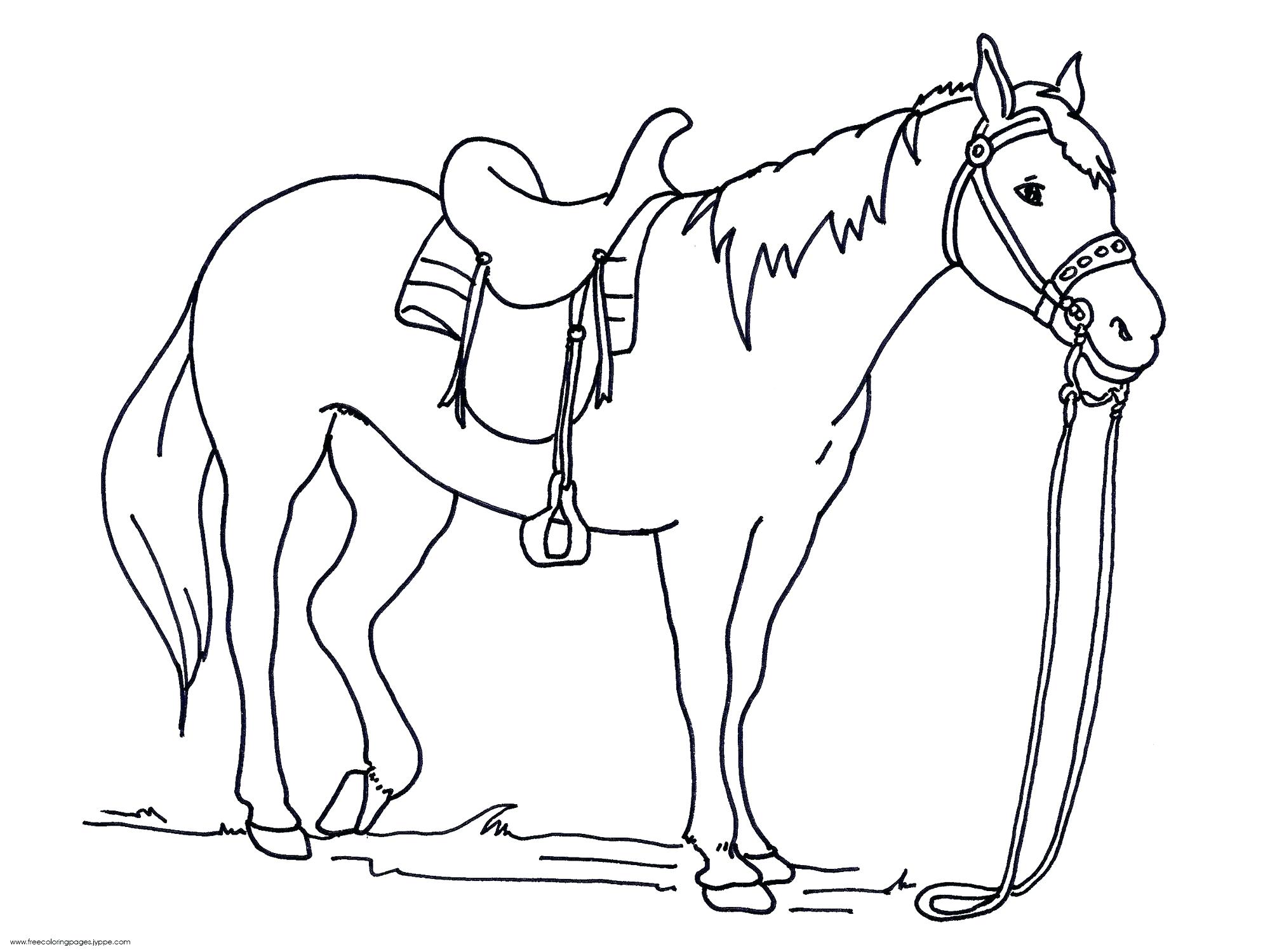 2000x1500 Reliable Race Horse Coloring Pages To Print Horses Pdf Flying Free