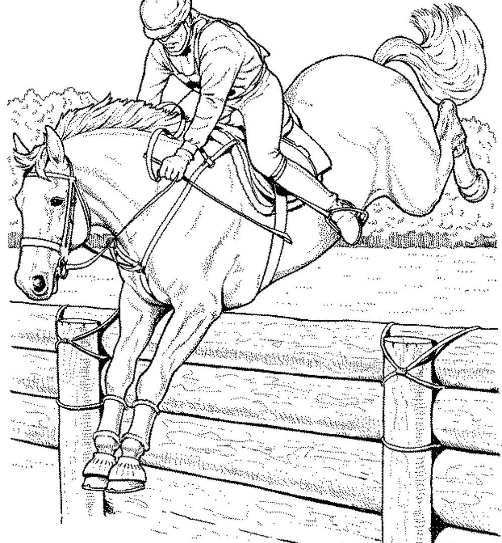 1000x1080 Simple Horses Coloringges Uvo4v3d Horse Online Free Wild To Print
