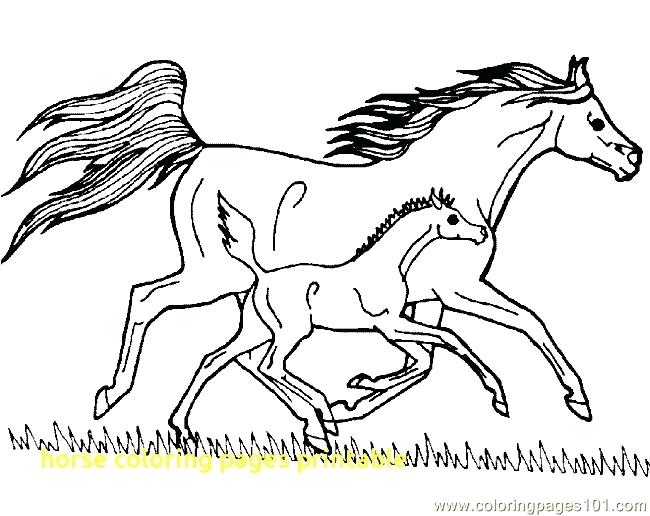 650x516 Free Coloring Pages Horses Cliptext.co