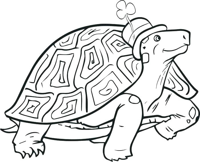 700x566 Free St Patrick Coloring Pages Free St S Day Coloring Pages Free