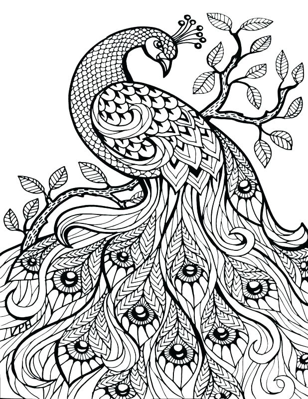 618x800 Color By Numbers Coloring Pages Complex Color By Number Free Adult