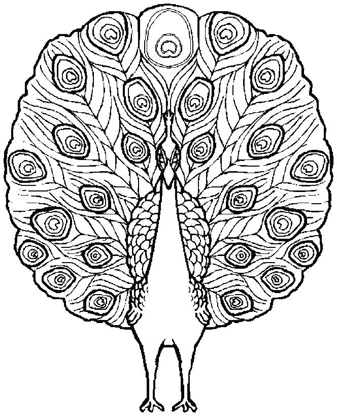 664x819 Coloring Pages Complex