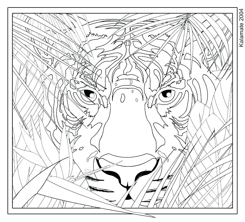 850x770 Complex Coloring Page