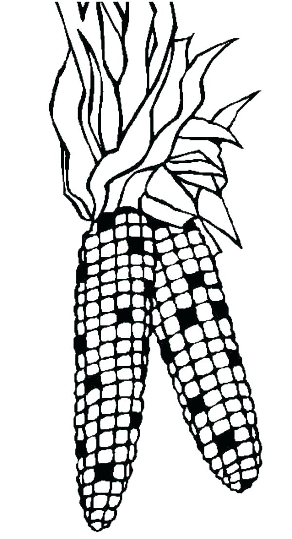 600x1106 Cornucopia Coloring Pages Cornucopia Coloring Pages Printable