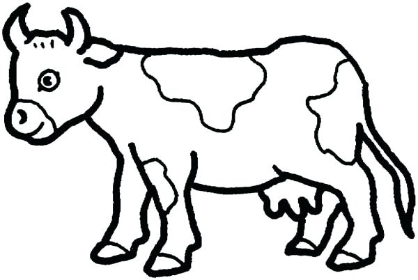 600x402 Opportunities Cow Coloring Sheets Free Printable Pages For Kids
