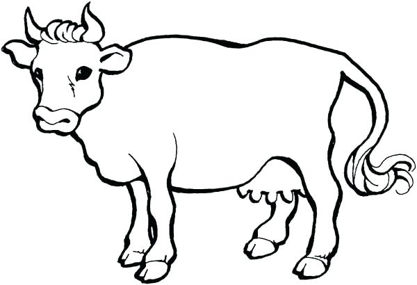 600x410 Cow Coloring Book Cow Coloring Book Cow Coloring Book And Cow