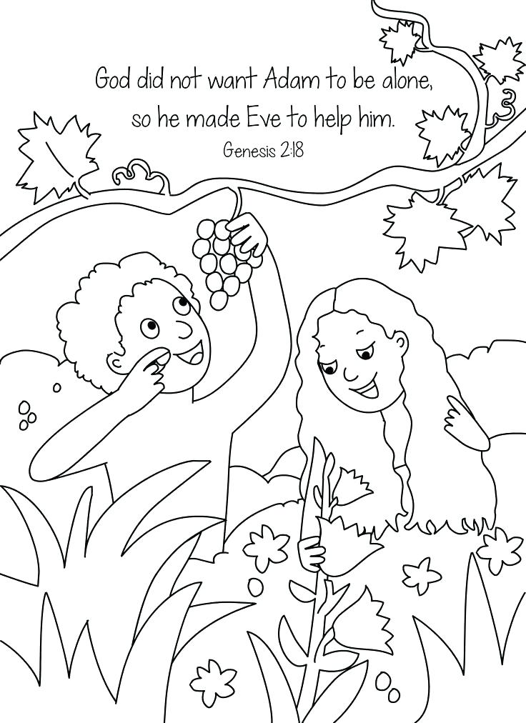 736x1012 Opulent Design Free Printable Creation Coloring Pages Best Opulent