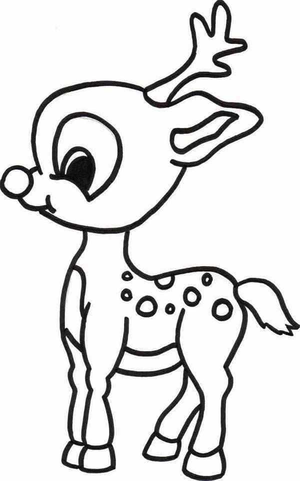 Free Deer Coloring Pages