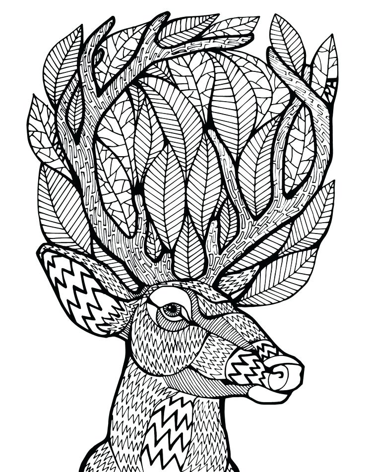 736x952 Coloring Pages Deer Adult Coloring Pages Deer Free Deer Hunting