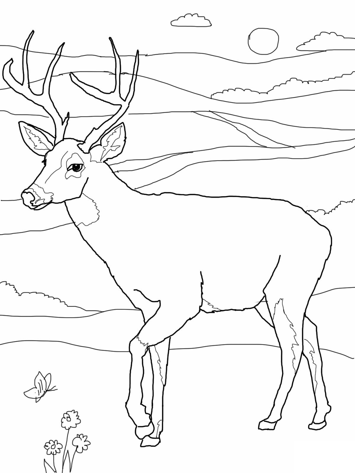 1200x1600 Deer Coloring Page New Free Coloring Pages Of Deer Buck Logo